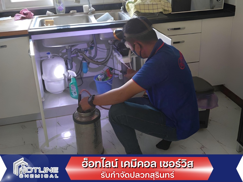 กำจัดปลวกราคาถูก