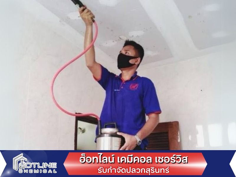 เจาะผนังอัดน้ำยากำจัดปลวกสุรินทร์