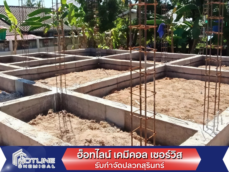 ระบบท่อกำจัดปลวกสุรินทร์